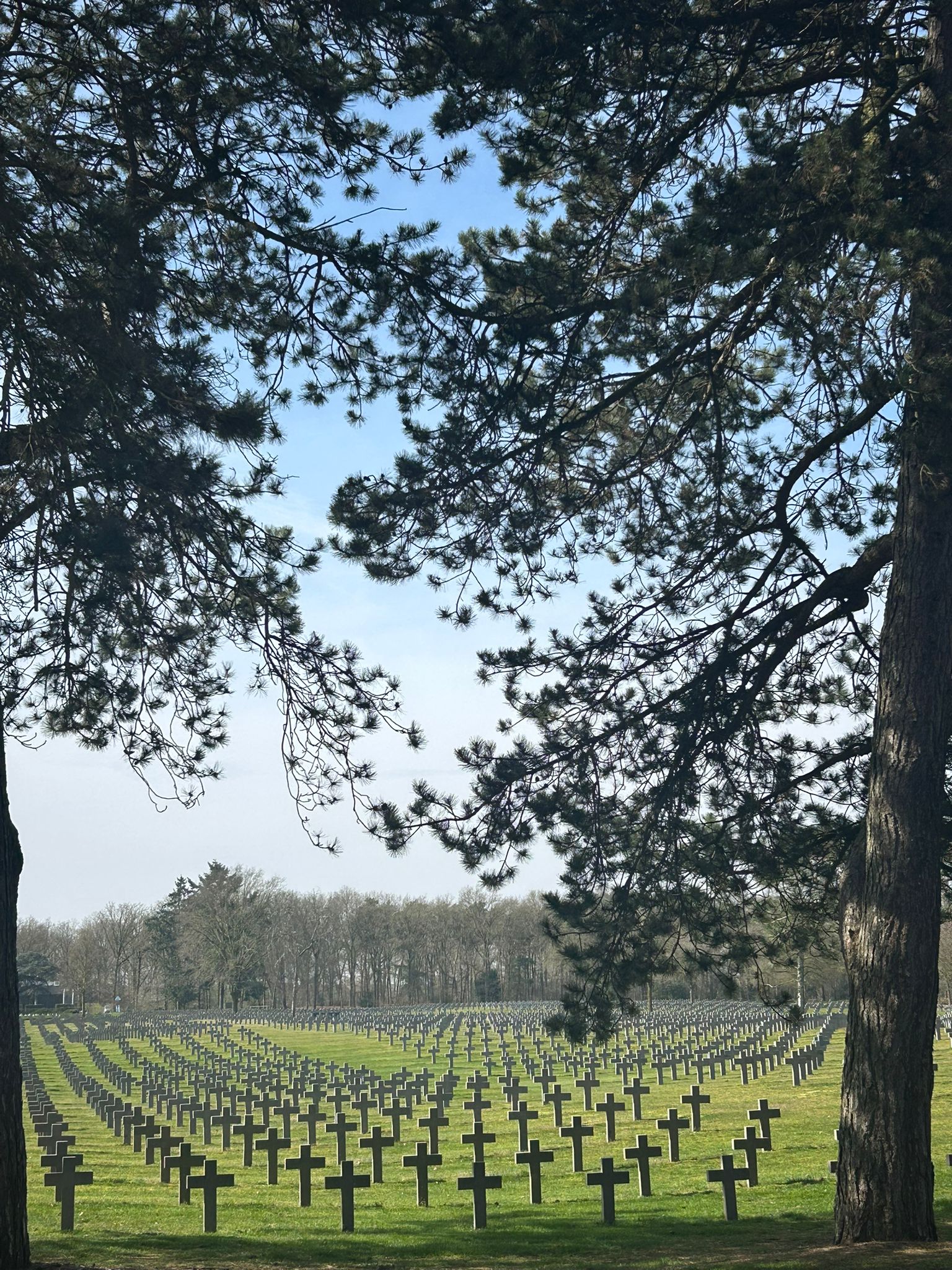 6d3ee1cd-c13a-4f7b-9cd9-67de45190510